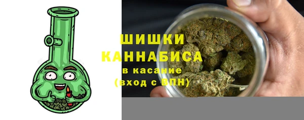 ECSTASY Богданович