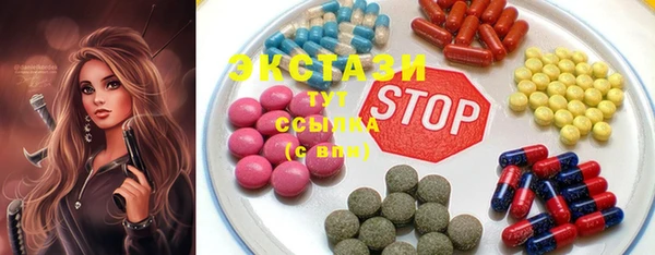 ECSTASY Богданович